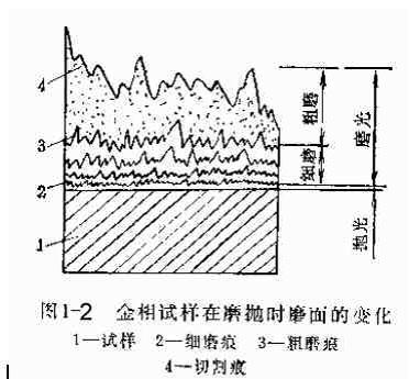 【技術交流】金相分析技術及其應用-2.jpg